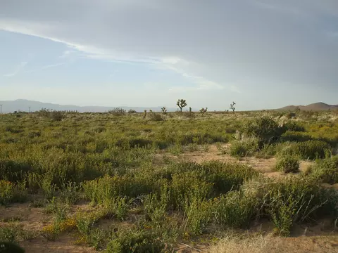00 Balboa And Fifth E St N, Mojave, CA 93501 photo 3