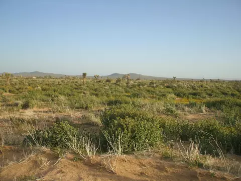 00 Balboa And Fifth E St N, Mojave, CA 93501 photo 9
