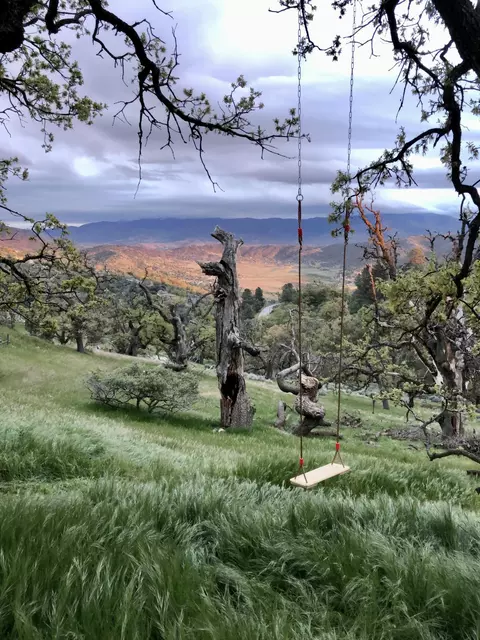 25620 Deertrail Dr, Tehachapi, CA 93561 photo 45