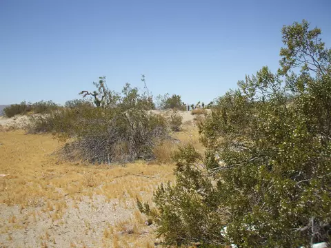 125 Th St E St E, Sun Village, CA 93543