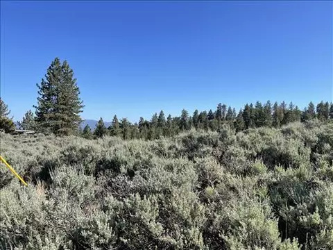 25861 Jacaranda Dr, Tehachapi, CA 93561 photo 2