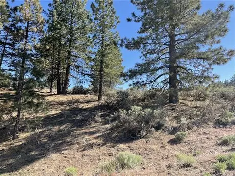 25861 Jacaranda Dr, Tehachapi, CA 93561 photo 11