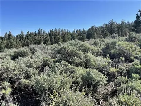 25861 Jacaranda Dr, Tehachapi, CA 93561 photo 5