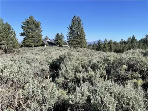25861 Jacaranda Dr, Tehachapi, CA 93561 photo 6