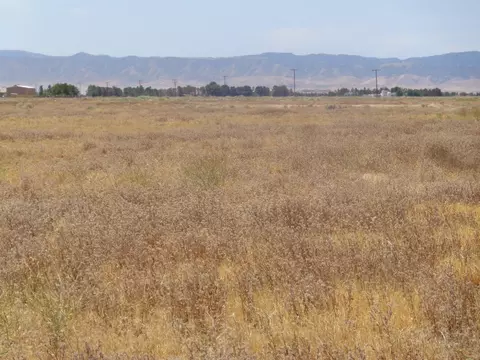 Ave. A6 W 78th Stw, Lancaster, CA 93536 photo 9