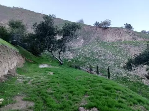 12253 Forest Trl, Sylmar, CA 91342