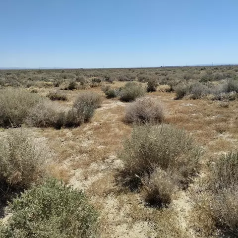 65 65th Weste14 W, Lancaster, CA 93536 photo 5