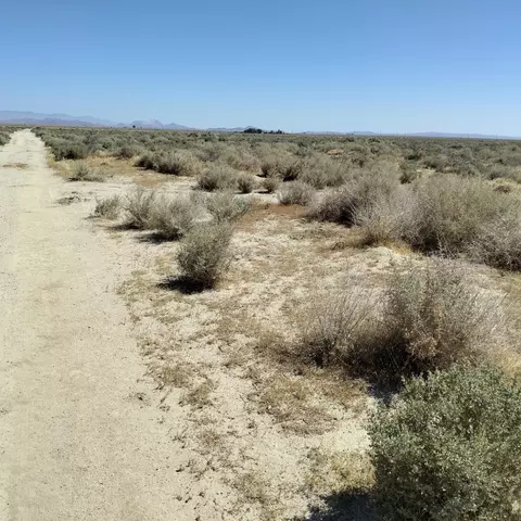 65 65th Weste14 W, Lancaster, CA 93536 photo 4
