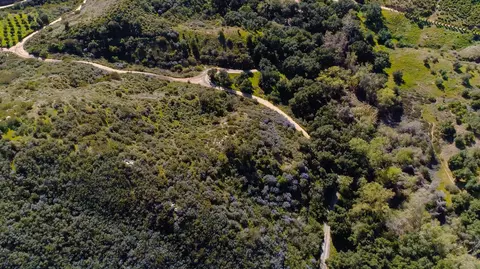 1532 Rice Canyon Rd, Fallbrook, CA 92028 photo 7