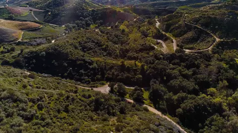 1532 Rice Canyon Rd, Fallbrook, CA 92028 photo 4