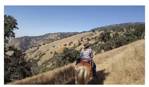 24751 Diamond Ct, Tehachapi, CA 93561 photo 37