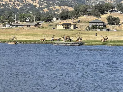 24751 Diamond Ct, Tehachapi, CA 93561 photo 40