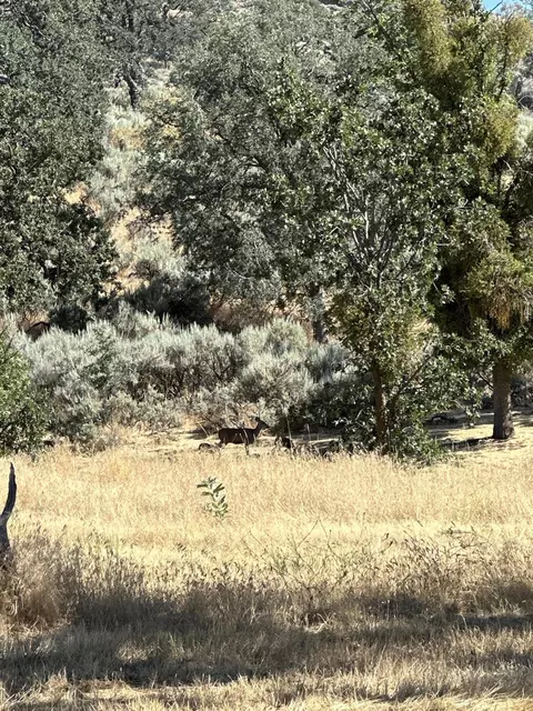 0 Hambletonian Dr, Tehachapi, CA 93561 photo 6
