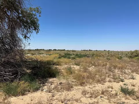 East Ave L8, Palmdale, CA 93552 photo 2