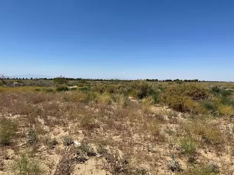 East Ave L8, Palmdale, CA 93552 photo 3