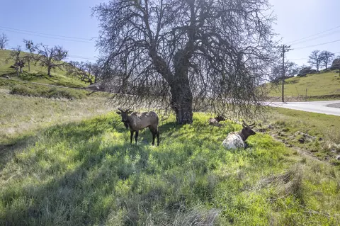 Jacks Hill Road, Tehachapi, CA 93561 photo 7