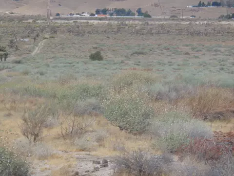 Ave. C13 267 Stw, Lancaster, CA 93536 photo 2