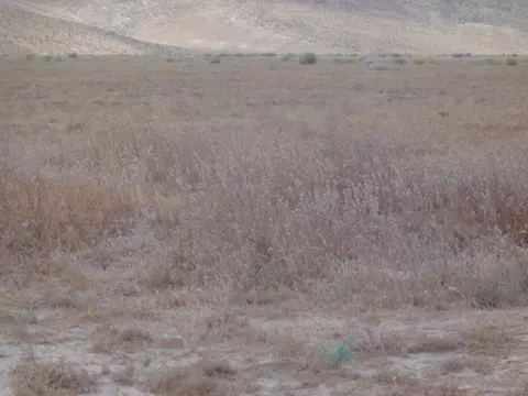 Ave. C13 267 Stw, Lancaster, CA 93536
