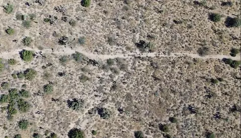 0 W1098th E #STE, Pearblossom, CA 93553 photo 21