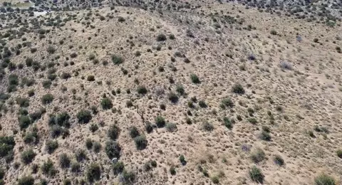 0 W1098th E #STE, Pearblossom, CA 93553 photo 28