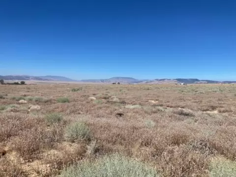 265 Th W Near Patterson Rd, Rosamond, CA 93560