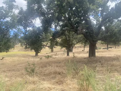 28100 Deertrail Dr, Tehachapi, CA 93561 photo 1