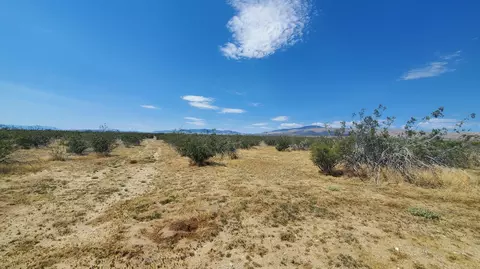 Budlong Ave & 114th St West, Rosamond, CA 93560