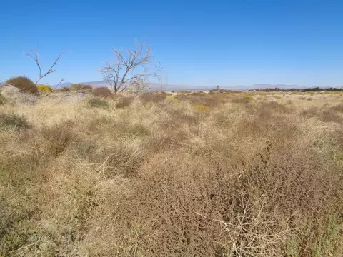 102 Stw Ave E8, Lancaster, CA 93536 photo 6