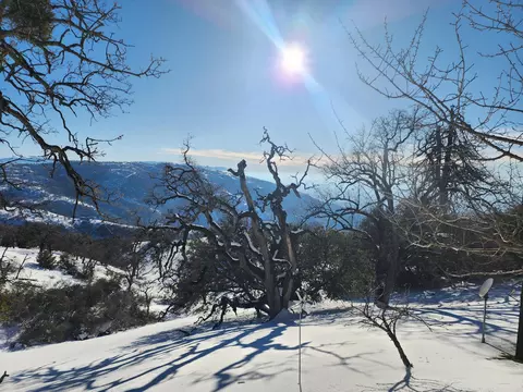 29980 Starland Dr, Tehachapi, CA 93561 photo 3