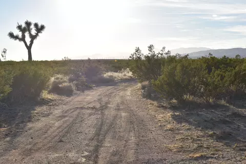 Lutie & Thomas St, Mojave, CA 93501 photo 17