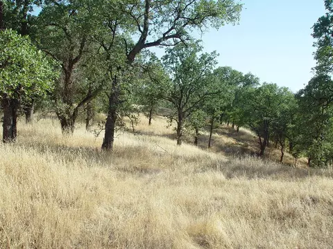 0 Vintage Dr, Red Bluff, CA 96080 photo 15