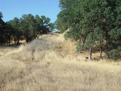 0 Vintage Dr, Red Bluff, CA 96080 photo 26