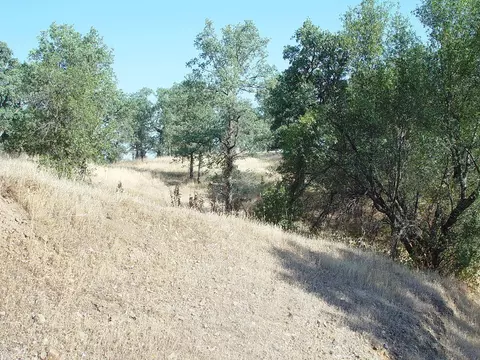 0 Vintage Dr, Red Bluff, CA 96080 photo 8