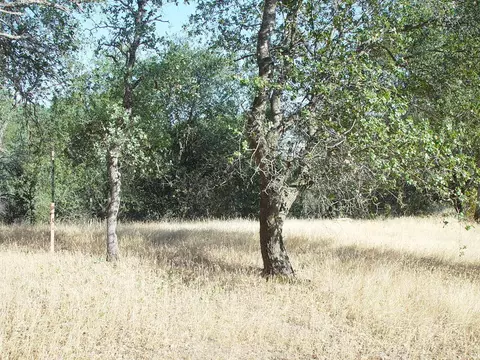 0 Vintage Dr, Red Bluff, CA 96080 photo 13