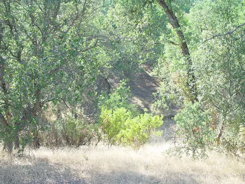 0 Vintage Dr, Red Bluff, CA 96080 photo 6