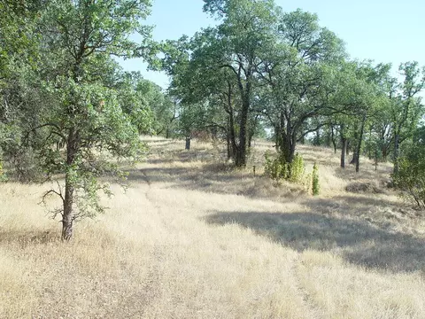 0 Vintage Dr, Red Bluff, CA 96080 photo 12