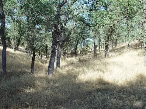0 Vintage Dr, Red Bluff, CA 96080 photo 3