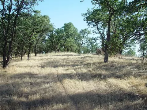 0 Vintage Dr, Red Bluff, CA 96080 photo 14