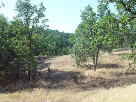 0 Vintage Dr, Red Bluff, CA 96080 photo 20