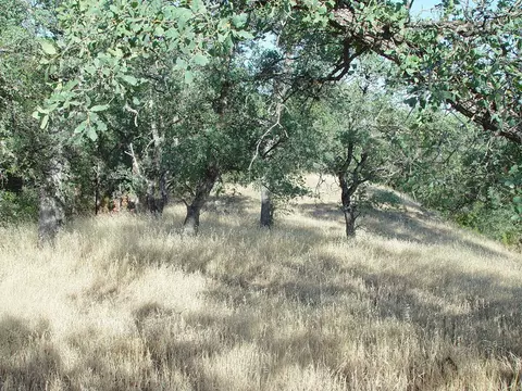 0 Vintage Dr, Red Bluff, CA 96080 photo 18