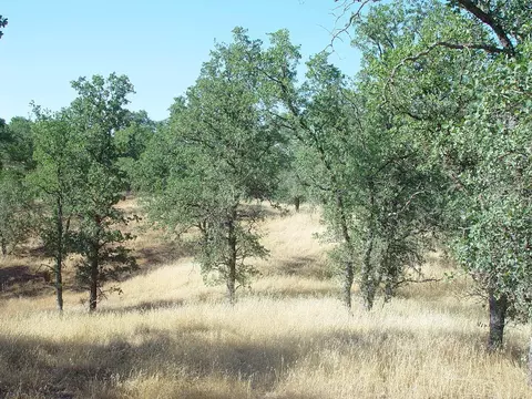 0 Vintage Dr, Red Bluff, CA 96080 photo 19