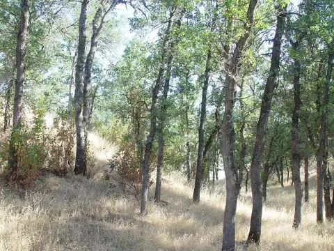0 Vintage Dr, Red Bluff, CA 96080 photo 4