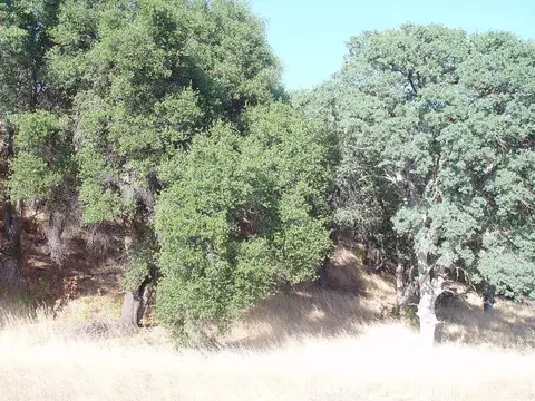 0 Vintage Dr, Red Bluff, CA 96080 photo 28