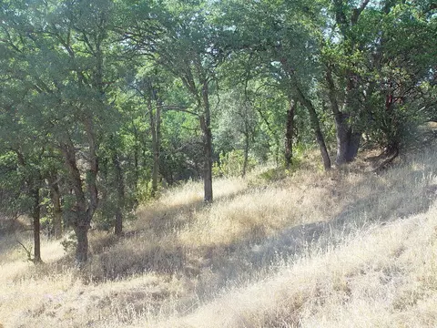 0 Vintage Dr, Red Bluff, CA 96080 photo 23
