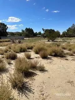 40593 168th St E, Lancaster, CA 93535 photo 18