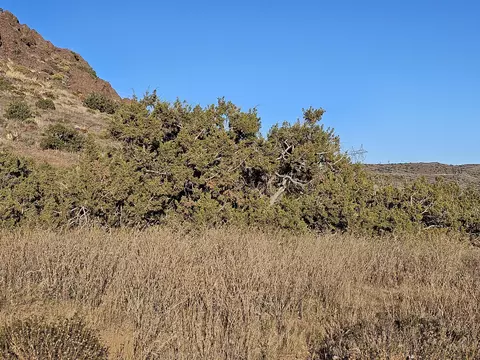 Haxby St Vic Eagle Butte, Acton, CA 93510 photo 8