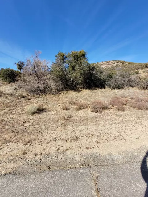 Walk A Top Street, Lake Elizabeth, CA 93532