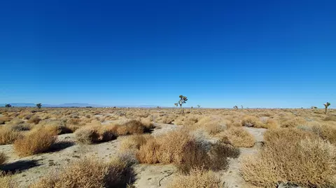 Vicinity Ave L2 & 77th St East, Palmdale, CA 93590