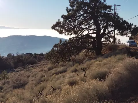 25400 Paramount Dr, Tehachapi, CA 93561 photo 14