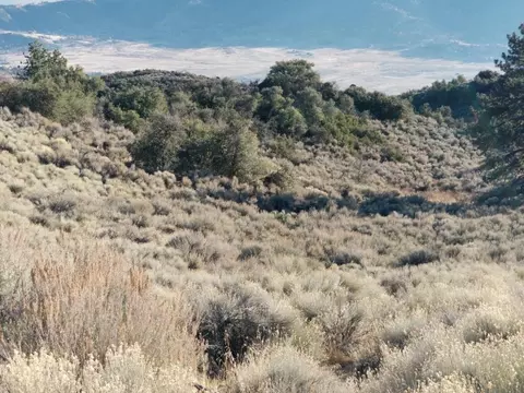 25400 Paramount Dr, Tehachapi, CA 93561 photo 16